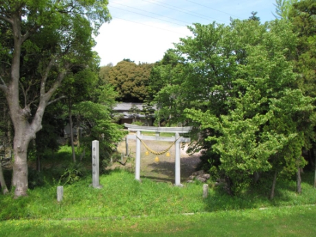 画像47